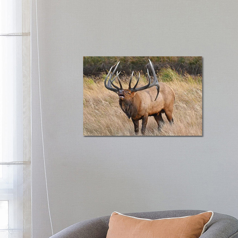 His Majesty by Brian Wolf - Wrapped Canvas Print, 66.04 cm H x 45.72 cm W x 1.91 cm D