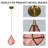 1 - Light Single Chandelier Dimmable