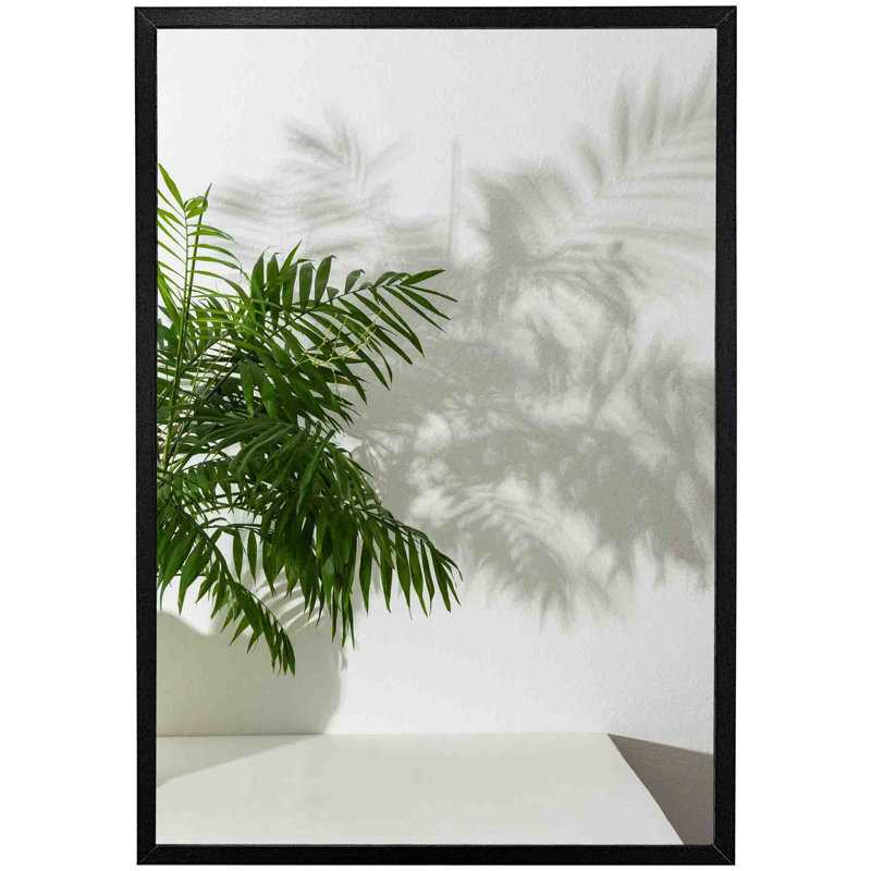 Hellertown Chamaedorea - Single Picture Frame Print, Black, 61cm H x 41cm W x 4cm D