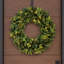 Kassel Fir 24 Inch Pre-Lit Greenery Wreath