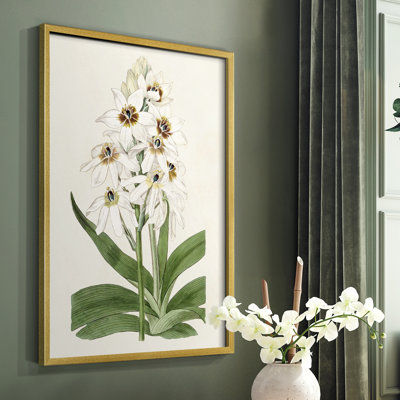 Flore Albo I Framed Print - Solid Wood
