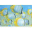 «Butterfly Fishes», reproduction sur toile