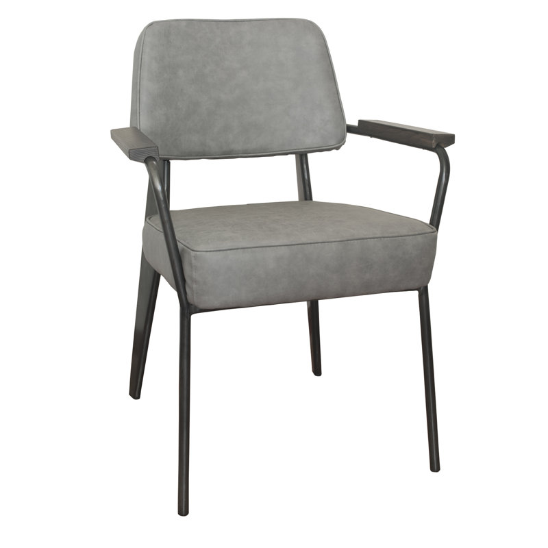 Fauteuil de 24 po de large Shelli, gris