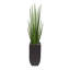 Faux Snake Grass Plant in Metal Planter