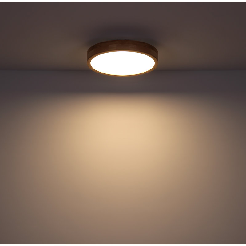 Perdomo Plastic LED Flush Mount, Wood Optic
