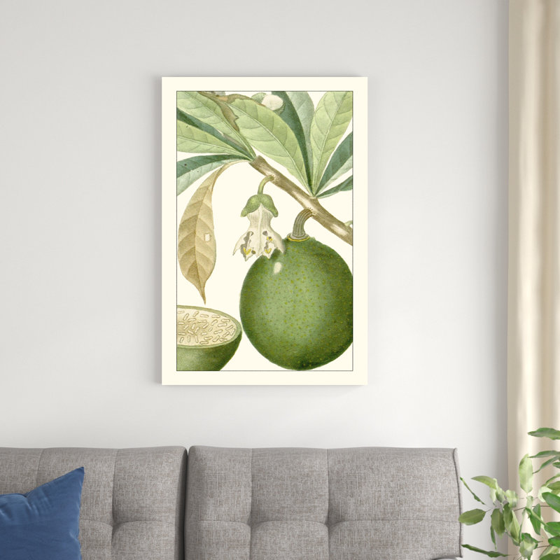 Turpin exotique botanique 8, H 36 po x l 24 po x P 1,25 po