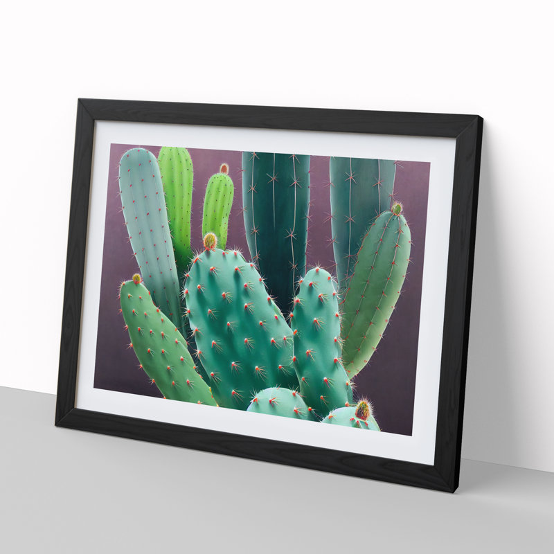 XH1022-10305X Wonderful Cactus 1 Piece Single Picture Frame Wall Art, 25cm H x 34cm W x 2cm D, Black Framed