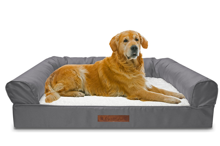 Top 15 Best Dog Beds For Goldendoodle [Expert Review]