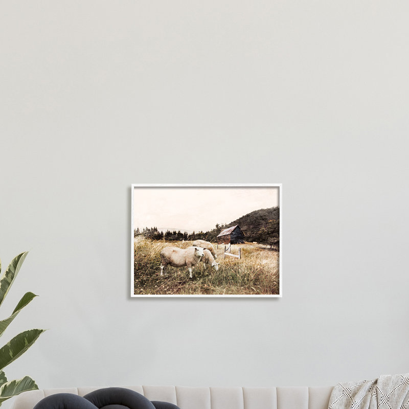 Automne, champ, moutons, pâture, grange sauvage - photographie, Giclée encadrée noir minuit, H 16 po x l 20 po