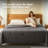 Summer Cooling Comforter, All-Season Silky Smooth Lightweight & Breathable Quilt for Hot Sleepers with Q-Max 0.45 Technology, Temperature Regulating Grey Cooling Blanket for Night Sweating Relief, Available in Queen-1668828884