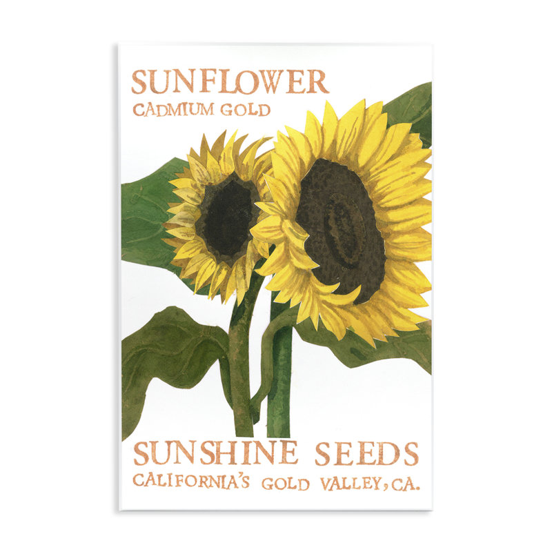 «Sunflower Seeds Design» par Nancy Overton, H 15 po x l 10 po
