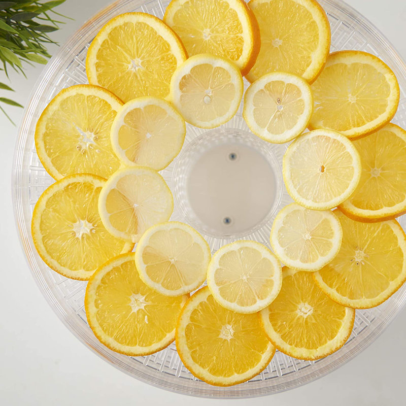 Food Dehydrator 4 Trays 