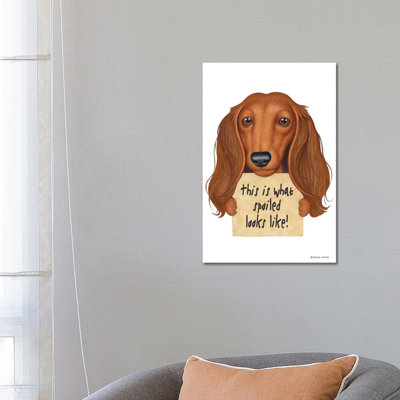 Dachshund Spoiled Looks Like by Danny Gordon - Wrapped Canvas Print