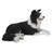 Lying Border Collie
