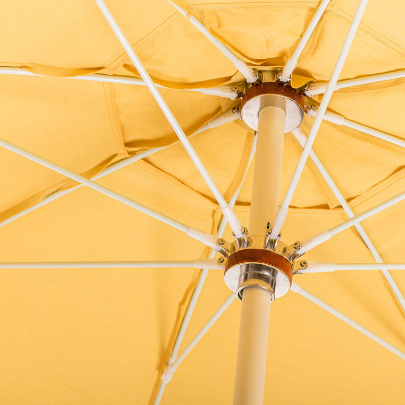 Club Umbrella, Rivie Mimosa