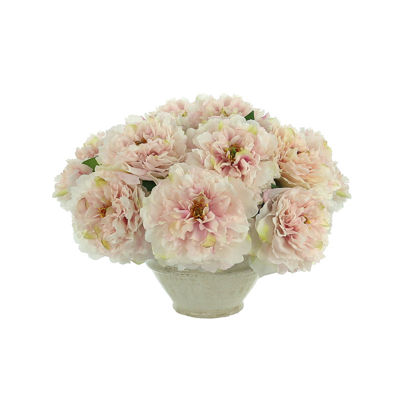 Peonies In Cream Vase