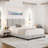 Boyd Sleep Lucena Upholstered Linen Platform Bed-89948652-82004841