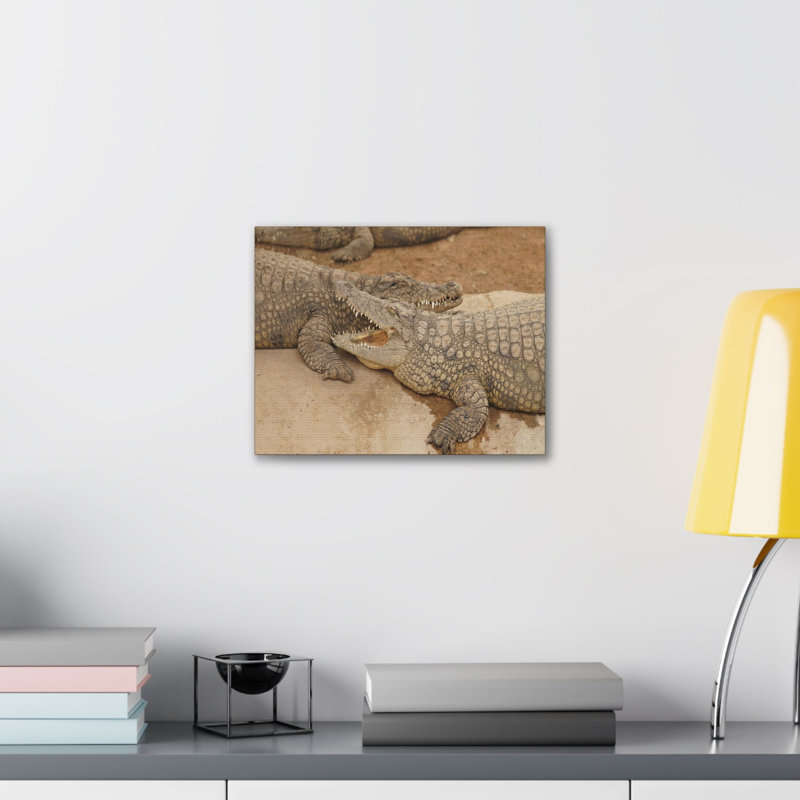 No Frame Print on Canvas, 60.96cm H x 76.2cm W