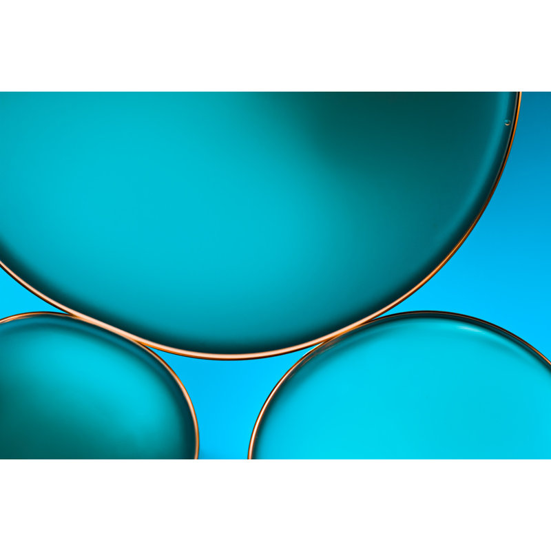 Wrapped Canvas Print, 50.8 cm H x 76.2 cm W