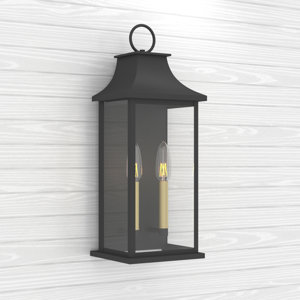 Alletta Dimmable Black Metal Cage Glass Wall Light