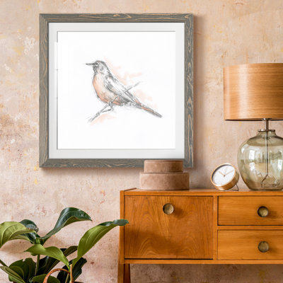 " Robin Bird Sketch II "