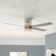 Poppe 52'' Ceiling Fan with LED Lights