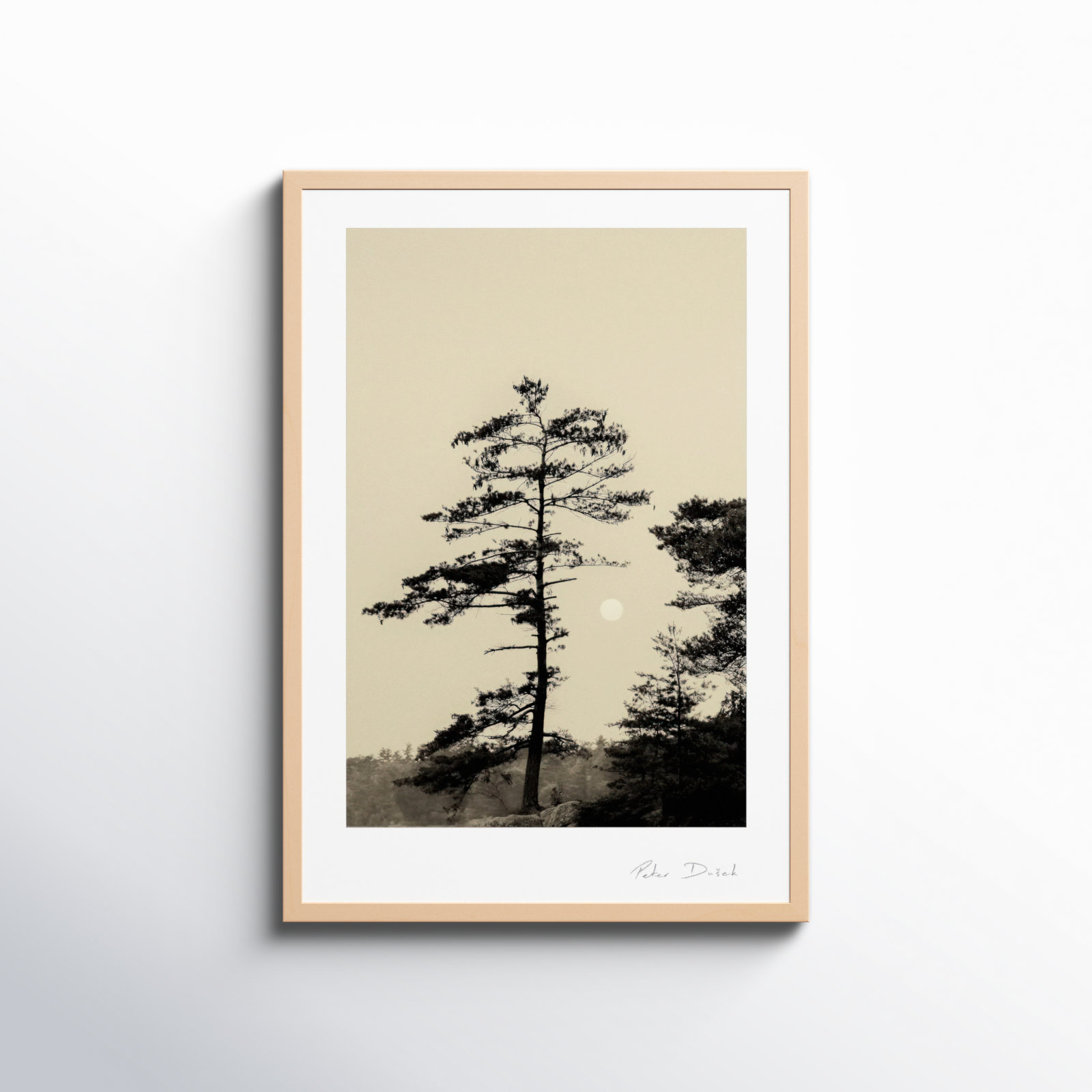 Serenity by Peter Dušek, Brown, 50" H x 35" W x 1.25" D