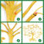 Plants & Flowers Wall Decor on Metal