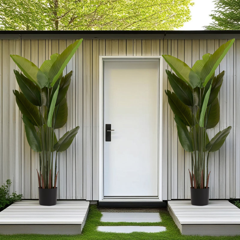 Get Everything You Need