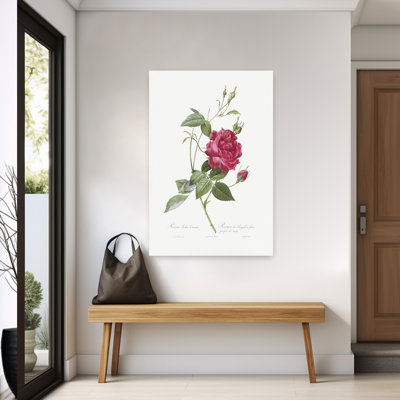 Sang rouge, Bengale, rose, rétro, rétro, fleur rétro, art mural