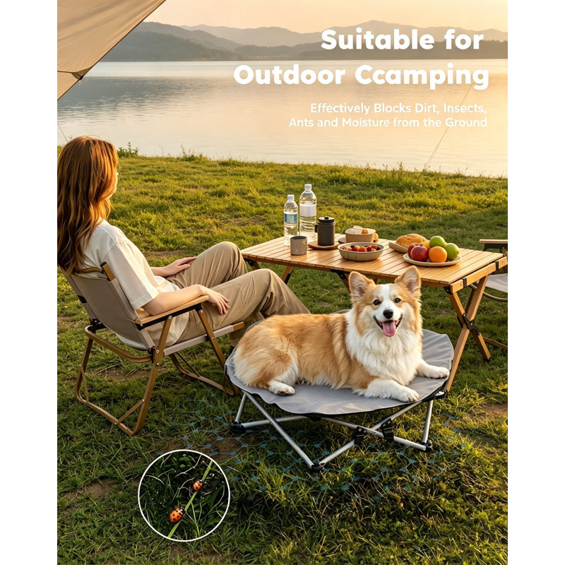 No-Assembly Elevated Dog Bed L Dia75cm