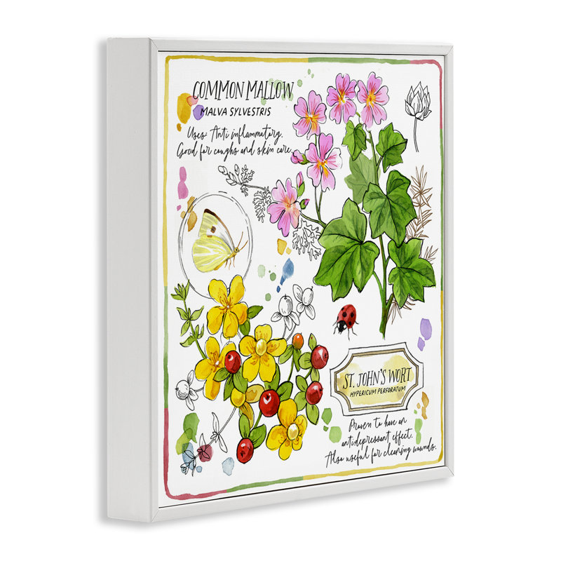 «Wild Herbs Avantages», estampe numérique encadrée de Jane Maday, H 17 po x l 17 po, Giclée encadrée blanc bord de mer