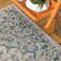 Nate Boho Medallion Textured Weave Gray/Teal Indoor/Outdoor Rug