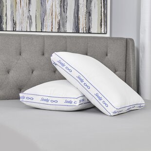 SertaPedic Won't Go Flat Pillow, Set of 2, Standard/Queen, White
