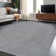 Non-Slip Area Rug