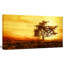 « africain tree silhouette », impression sur toile tendue-26126774-33219936