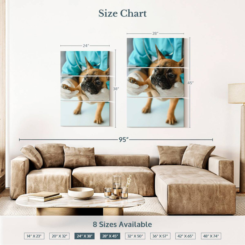 Pet Care, 38" H x 24" W
