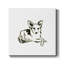 Toile tendue Canine Cameo VI-Premium Gallery - prête à être accrochée