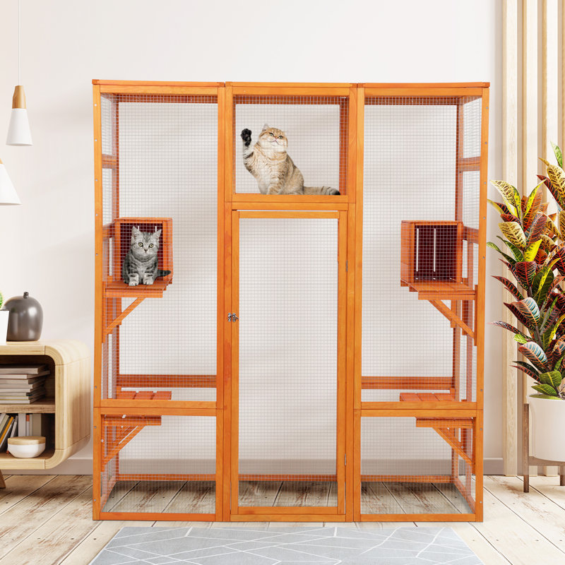 Cat Cage, Orange