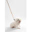 Ensemble de promenade à harnais et laisse réglable Teddy Bouclé-112275124