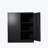 Laurindo 36'' Wide 2 - Shelf Storage Cabinet