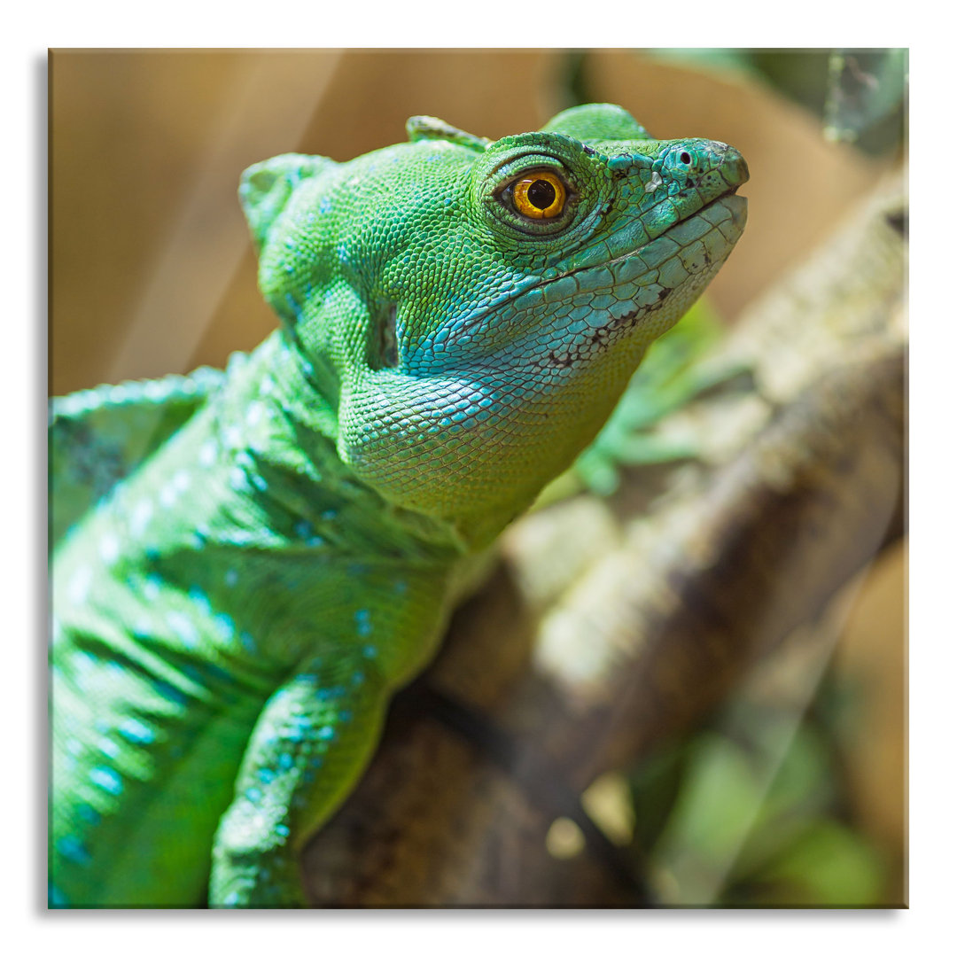 Ungerahmtes Foto auf Glas "Green Chameleon"