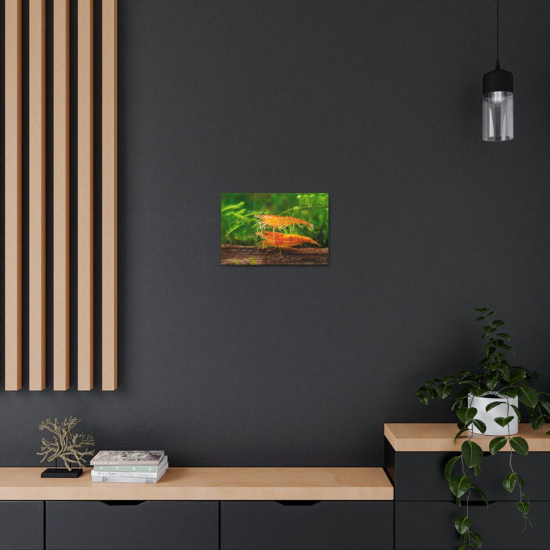 No Frame Print on Canvas, 12cm H x 16cm W