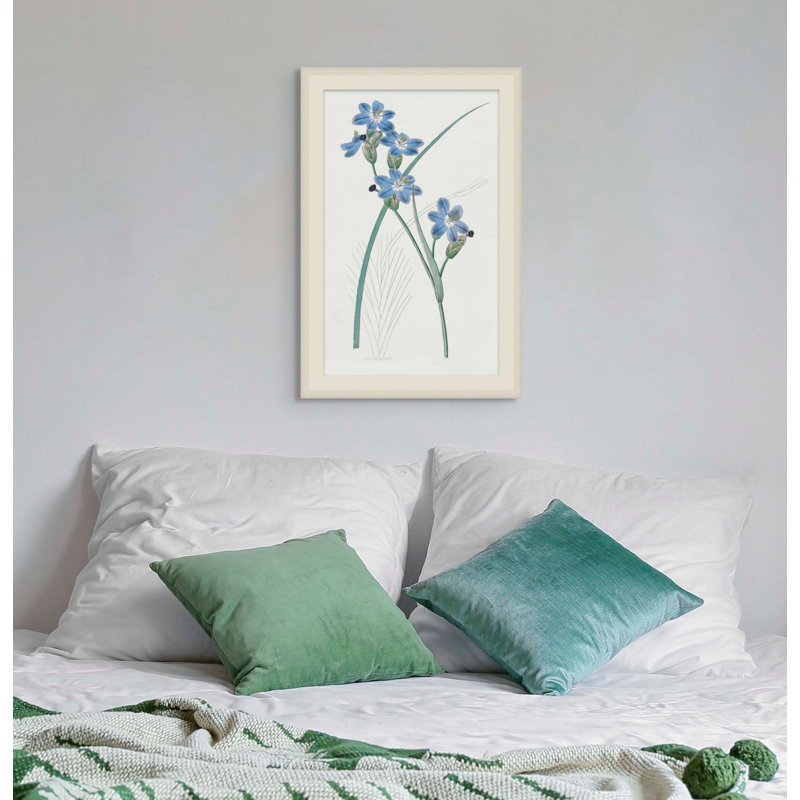 Sapphire Flora 3 Framed Print, 40" H x 27" W