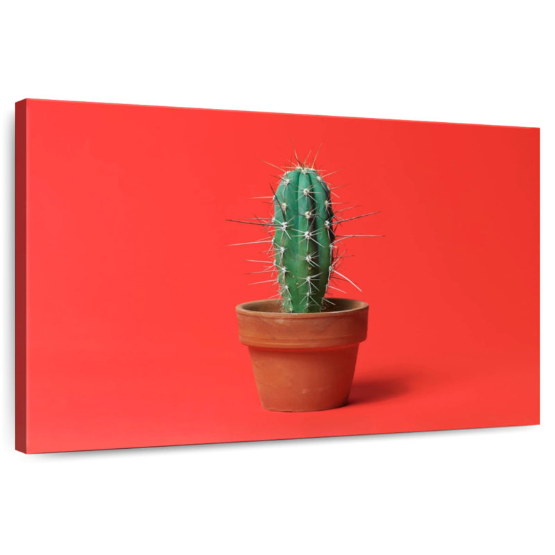 Harnek Potted Cactus, 30" H x 45" W