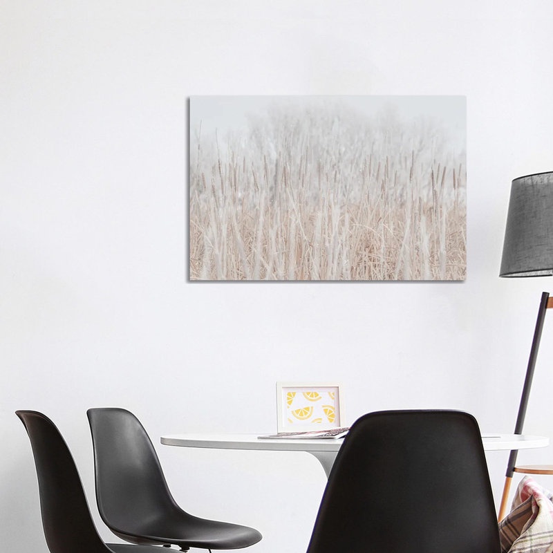 Cattails Hoarfrost With Snow by Nik Rave - Wrapped Canvas Gallery-Wrapped Canvas Giclée, 66.04cm H x 101.6cm W