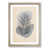 Oak Framed selected