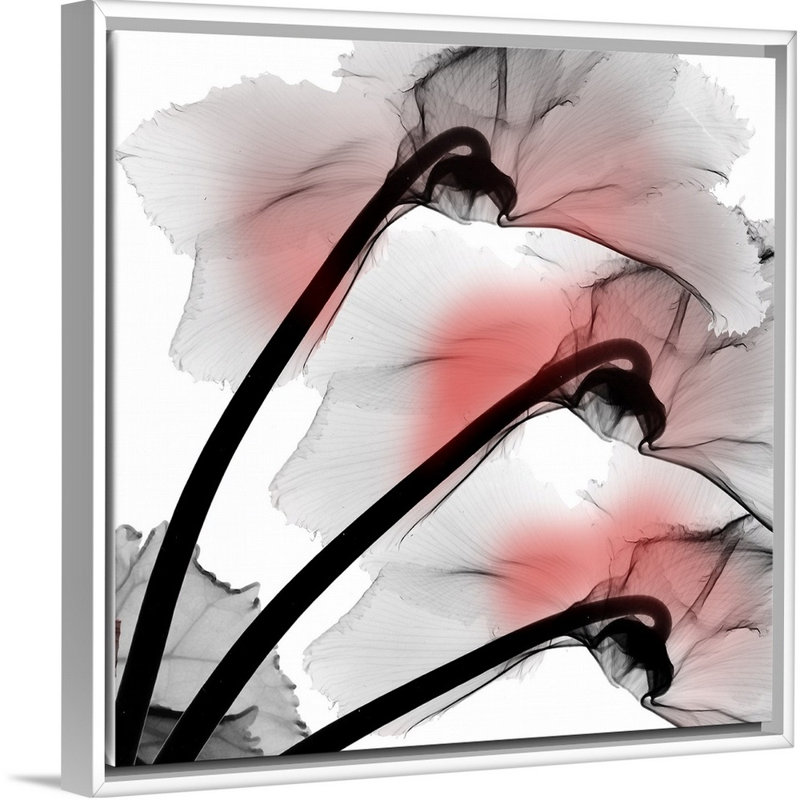 « Coral Luster cyclamen » par Albert Koetsier, reproduction d’art sur toile, H 18 po x l 18 po x P 1,75 po