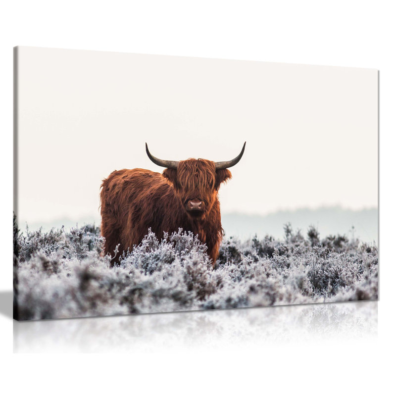 Highlander Bison Out In Nature - Wrapped Canvas Print, 31cm H x 46cm W x 3cm D
