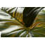 165cm Faux Banana Leaf Plant in Pot